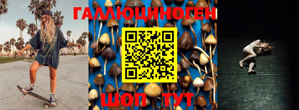 Абакан  Псилоцибиновые грибы ЛСД  Вход с VPN  Псилоцибиновые грибы прущие грибы 