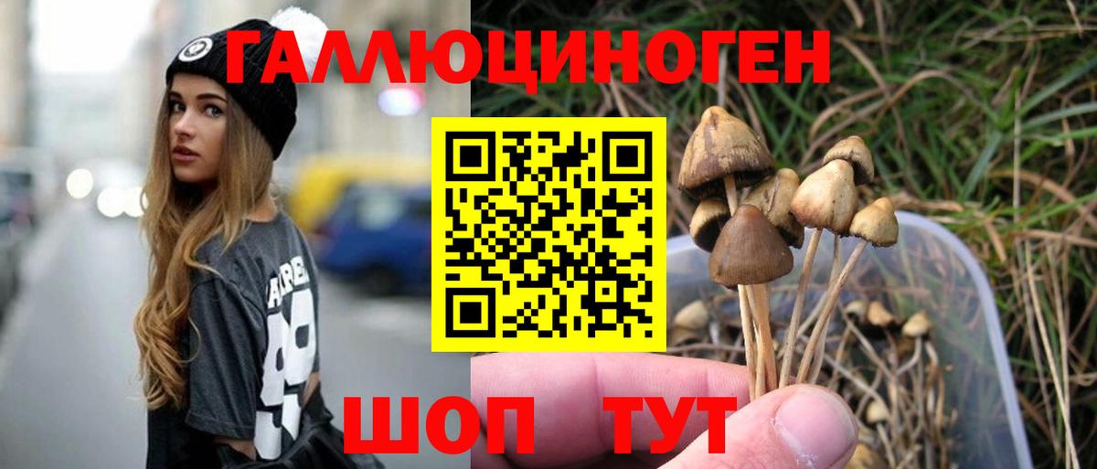 Галлюциногенные грибы ЛСД Абакан